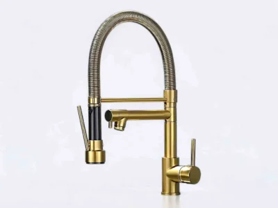 kitchen faucet with sprayer