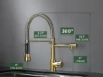 faucet with sprayer
