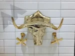 brass kitchen faucet
